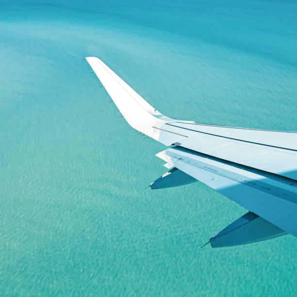 istock Sea from the airplane 975565984