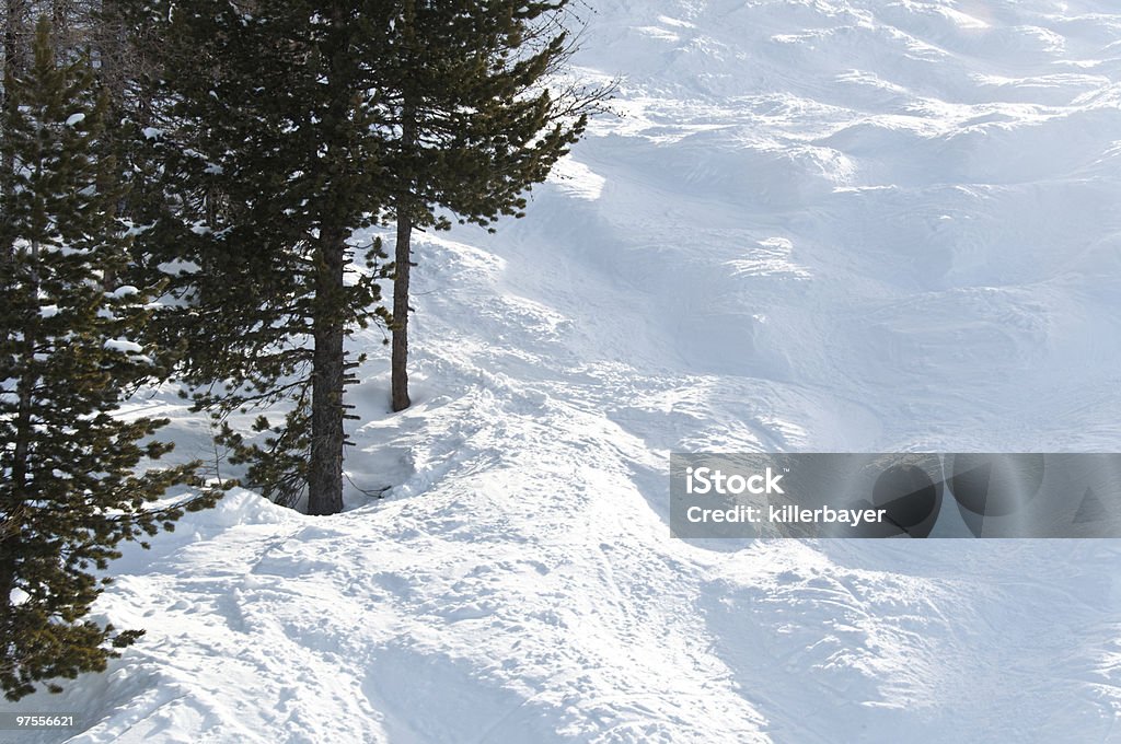 Schneebuckel Pisten mit Bäumen - Lizenzfrei Aktivitäten und Sport Stock-Foto