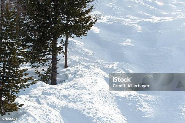 Schneebuckel Pisten Mit Bäumen Stockfoto und mehr Bilder von Aktivitäten und Sport - Aktivitäten und Sport, Alpen, Anhöhe