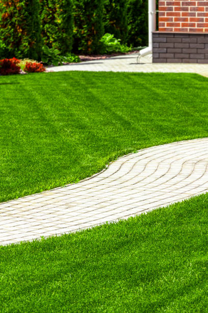 istock Beautiful lawn in the backyard 975578450