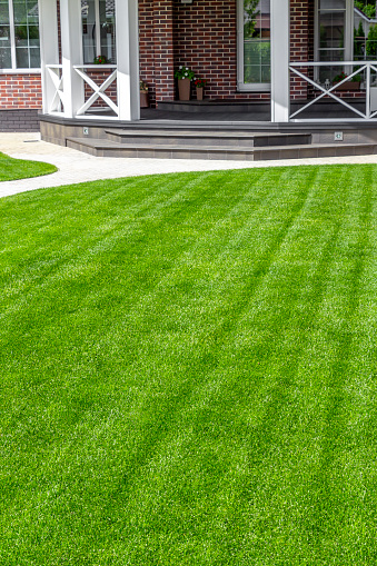 Beautiful evenly trimmed lawn in the backyard of a private house.