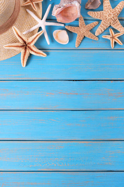 istock Tropical beach summer starfish background border 975581110
