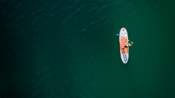 paddleboarding - paddleboard oar women lake foto e immagini stock