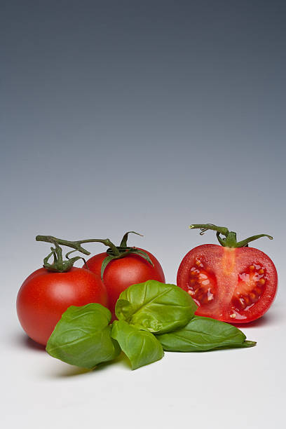 Tomato and Basil herb stock photo