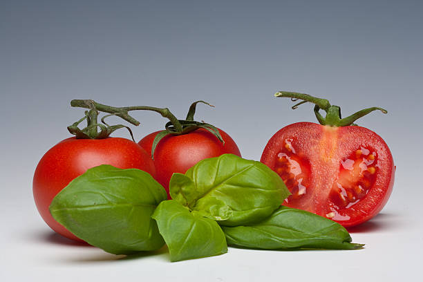 Tomato and Basil herb stock photo