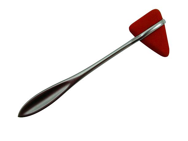 Reflex hammer  rubber mallet stock pictures, royalty-free photos & images