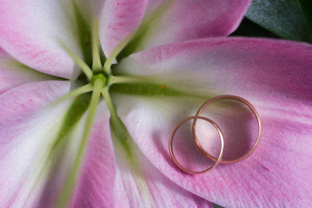 Pink petals with gold wedding rings, top view. Wedding concept