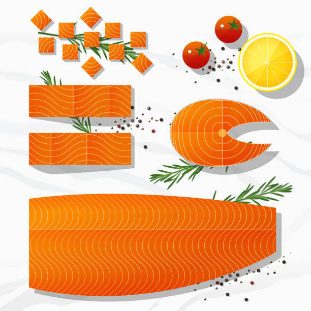 zestaw świeżych surowych ryb łososia i przypraw wyizolowanych na marmurowym kamiennym tle, wektorze, ilustracji - chinook salmon stock illustrations