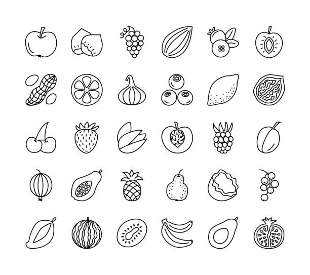 коллекция значков векторной линии. фрукты, ягоды и орехи. здоровая вегетарианская пища. яблоко, вишня, ананас, виноград, фундук, арахис; клуб� - raspberry gooseberry strawberry cherry stock illustrations
