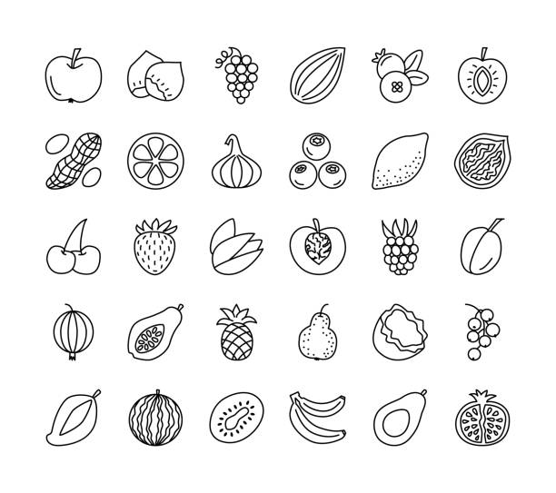 Vector line icon collection. Fruits, berries and nuts. Healthy vegetarian food. Apple, cherry, pineapple, grape, hazelnut, peanut; strawberry, raspberry. Vector line icon set. Fruits, berries and nuts. Healthy vegetarian food. Apple, cherry, orange, lemon, walnut, hazelnut, avocado, pineapple, strawberry, raspberry, blueberry. Isolated on white background. banana borders stock illustrations