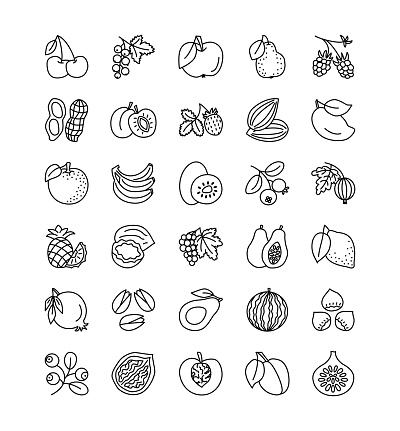 Vector line icon set. Fruits, berries and nuts. Healthy vegetarian food. Apple, cherry, orange, lemon, walnut, hazelnut, avocado, pineapple, strawberry, raspberry, blueberry. Isolated on white background.