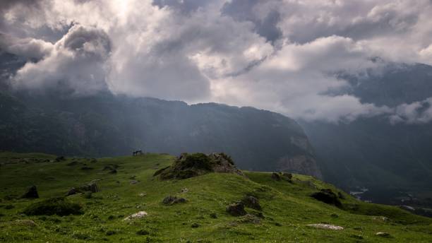 istock Evening in Usthulu tract. The rain is coming 975606360