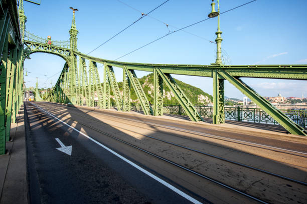 View on the famous Liberty bridge during the morning light in Budapest, Hungary