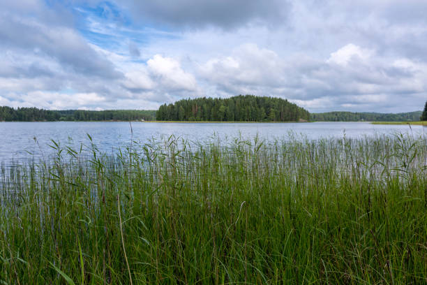 istock Summer landscape with like and forest, Finland 975623186