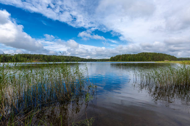 istock Summer time on the like, Finland 975623204