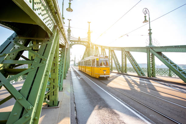 istock Liberty bridge in Budapest city 975623712