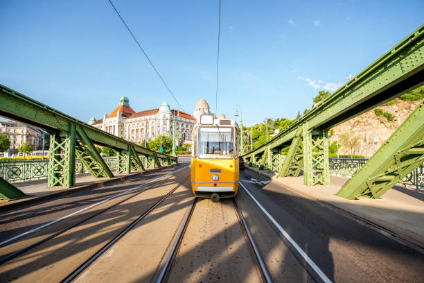 istock Liberty bridge in Budapest city 975623766