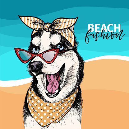 Vector portrait of Siberian husky dog wearing sunglasses and retro bandana. Summer fashion illustration. Sea, beach, ocean. Hand drawn pet portait. Poster, t-shirt print, holiday, postcard, summertime