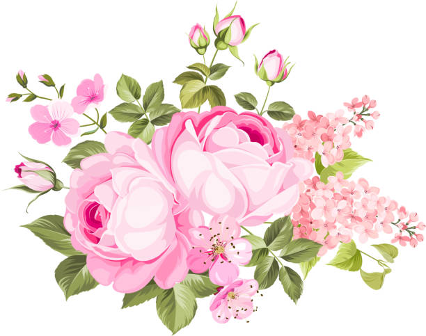 illustrations, cliparts, dessins animés et icônes de bouquet de fleurs de printemps - fleur de pavot plante