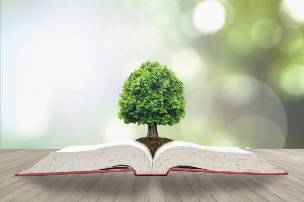 istock Tree of knowledge/ life growing on soil from big archive open textbook w/ creative freehand doodle drawing on wooden table 975627534