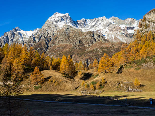 istock Autumn in the alps 975638836