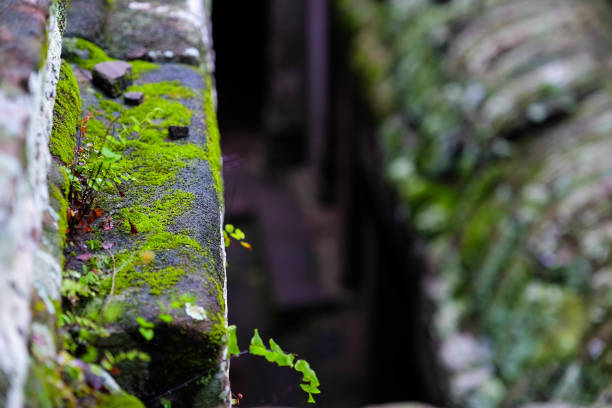 istock Angkor Wat, Siem Reap, Cambodia 975641562