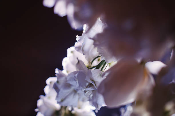istock Wedding decor, flowers in wedding ceremony 975642566