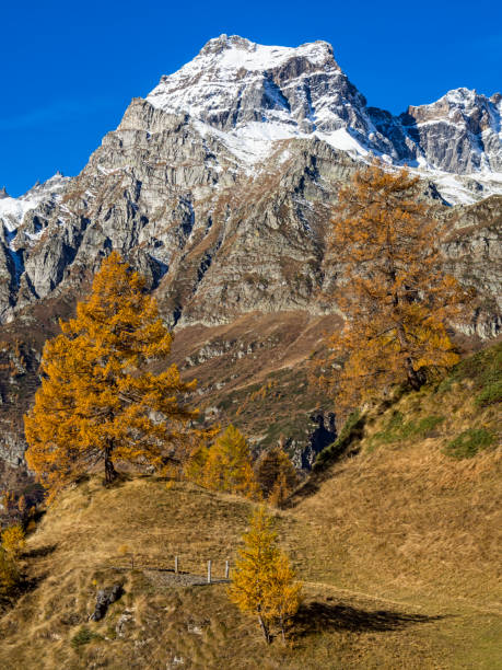istock Autumn in the alps 975643676