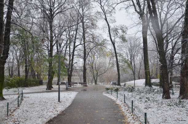 istock Spectacular heavy snowfall in Warsaw, Poland 975646704