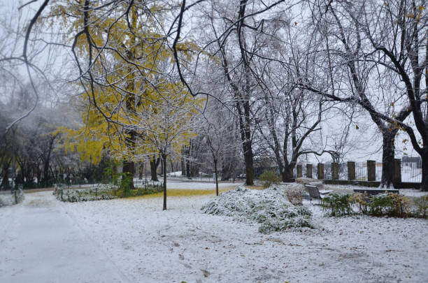 istock Spectacular heavy snowfall in Warsaw, Poland 975647164