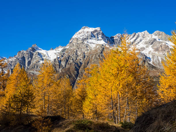 istock Autumn in the alps 975647404