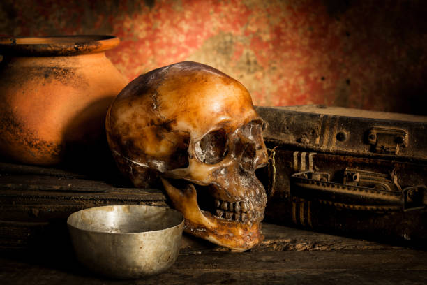 istock Human skull on old wood background, still life concept 975652268