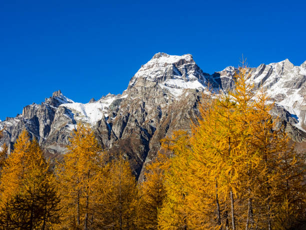 istock Autumn in the alps 975652624
