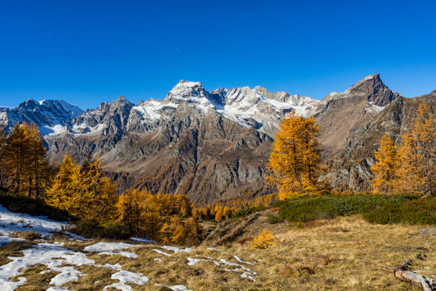 istock Autumn in the alps 975652794