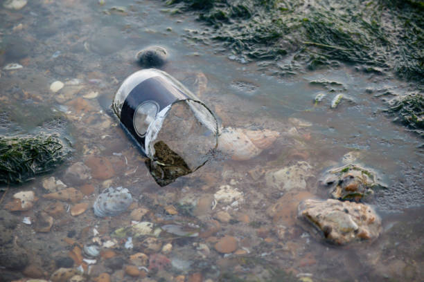 istock Litter left on the beach on the Isle of Grain 975665514