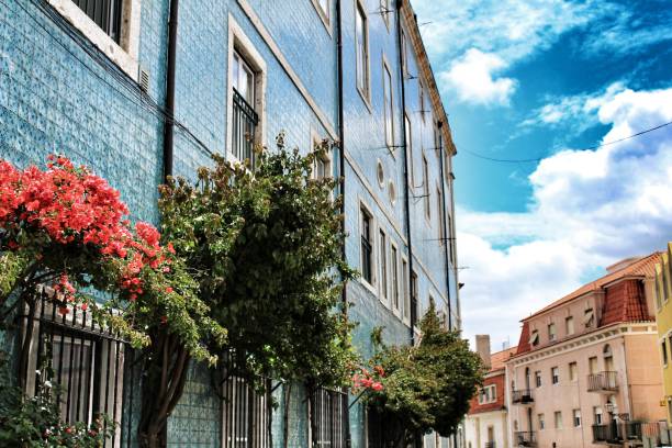 istock Old colorful and majestic facades in Lisbon 975666566