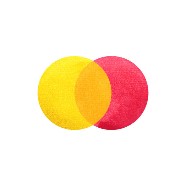 2 primary colors, red yellow watercolor painting circle round on white paper texture background 2 primary colors, red yellow watercolor painting circle round on white paper texture background secondary colors stock illustrations