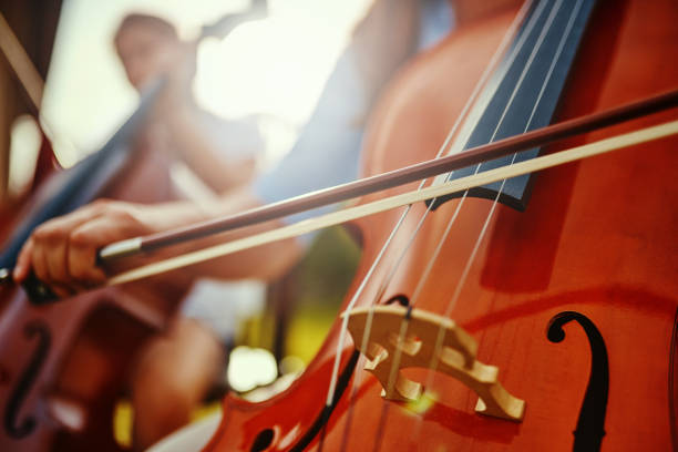 You must practice your passion to perfect it Cropped shot of an unrecognizable woman playing a cello outdoors string instrument stock pictures, royalty-free photos & images