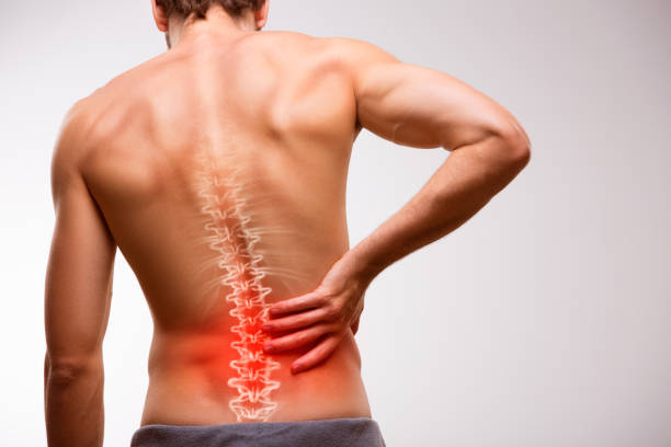 腰の痛み。 - human spine backache pain back ストックフォトと画像