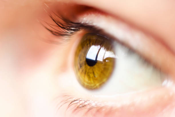istock Female eye with long eyelashes close up 975684982