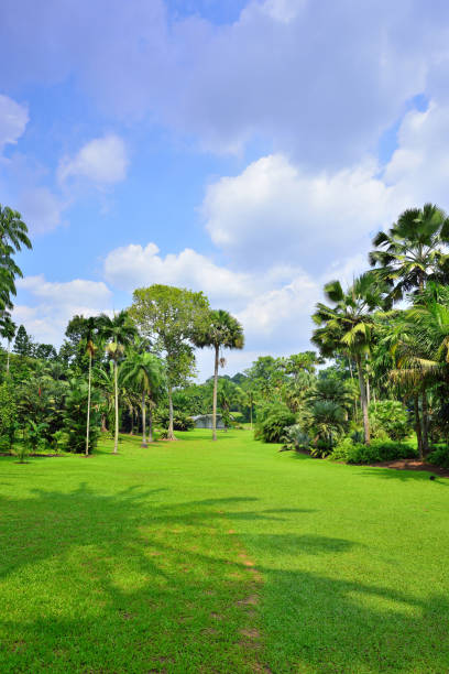 istock Beauty Peaceful Tropical Garden 975685158
