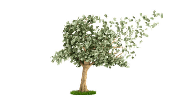 istock dollar tree with hundred dollar bills on white 3d illustration no shadow 975688724