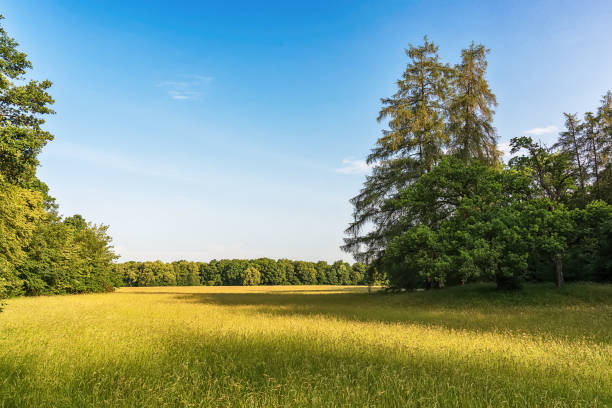 istock Running park Schlosspark Nymphenburg, Munich 975689342