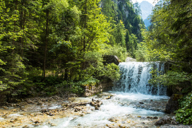 Martuljek river in Slovenia, Julian alps