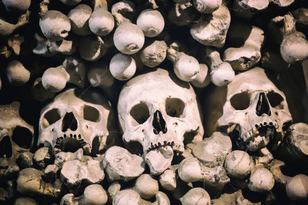 istock Human bones and skulls as a background. Death or graveyard funeral concept 975691984