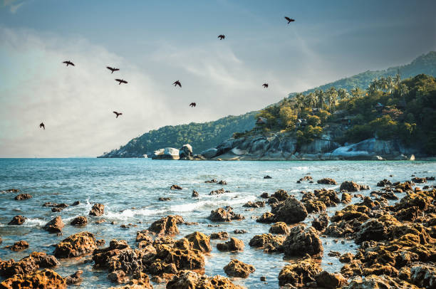 istock Haad Yuan Beach Koh phangan 975694930