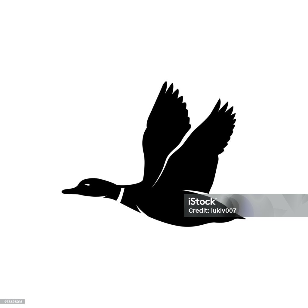 duck fly silhouette duck fly silhouette vector Duck - Bird stock vector