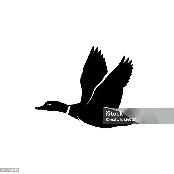 Duck Fly Silhouette Stock Illustration - Download Image Now - Duck - Bird, Flying, Loon - Bird