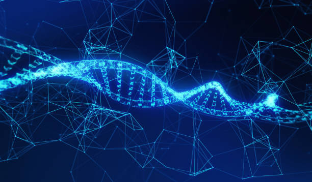 dna, medicina modello elica e linee di connessione di rete per il concetto di tecnologia su sfondo blu, illustrazione 3d - genetic science foto e immagini stock