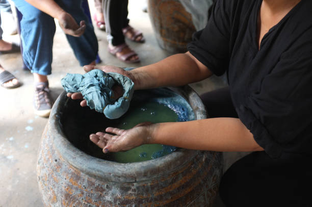 istock The process of indigo. Remove Indigo tree from the water. To use  Indigo cake 975711498